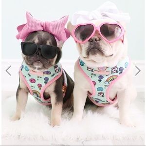 Frenchiestore Harness and Leash